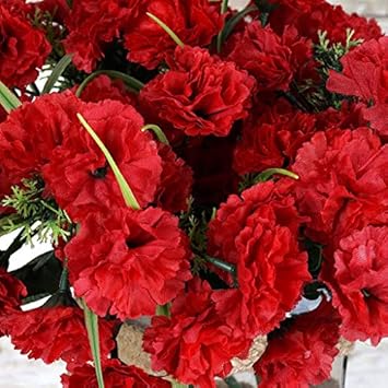 Flower Seeds, Seeds,Seeds For Planting,Plant Seeds