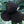 Fruit Seeds,Garden seeds, Seeds For Planting,Plant Seeds