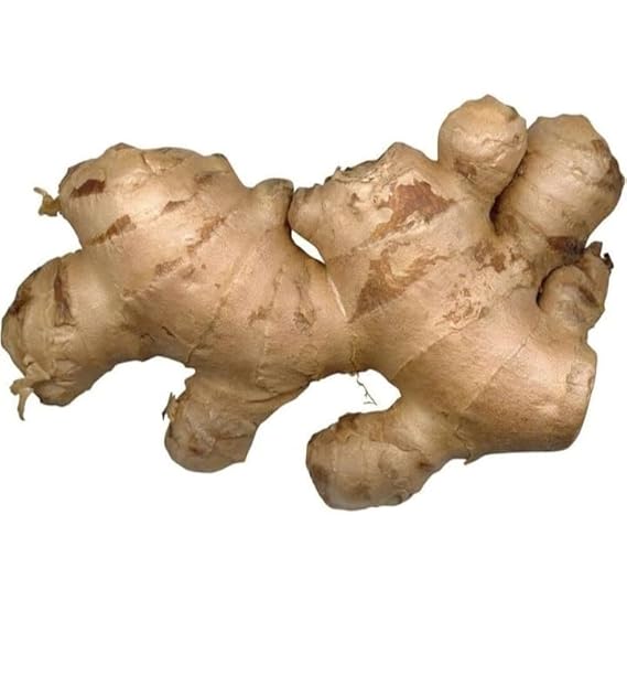 Organic Ginger Root Rhizomes seeds for Planting – High Yield, Non-GMO Medicinal Herb for Culinary & Wellness Gardens
