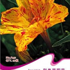 Flower Seeds, Seeds,Seeds For Planting,Plant Seeds