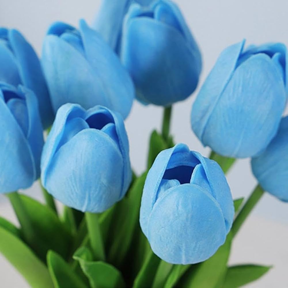 Tulip Sky Blue Flower Seeds for Planting – Cut Flower Favorite Heirloom, Non-GMO, High Germination Organic Garden Seeds