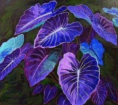 Caladium Bicolor Blue Flower Seeds for Planting – Heirloom, Non-GMO, High Germination Organic Garden Seeds