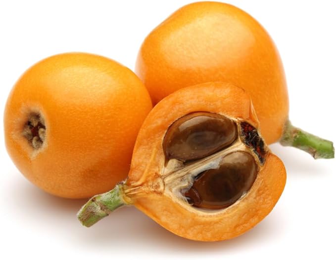 Fruit Seeds,Garden seeds, Seeds For Planting,Plant Seeds