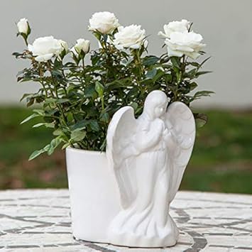 Flower Seeds, Seeds,Seeds For Planting,Plant Seeds