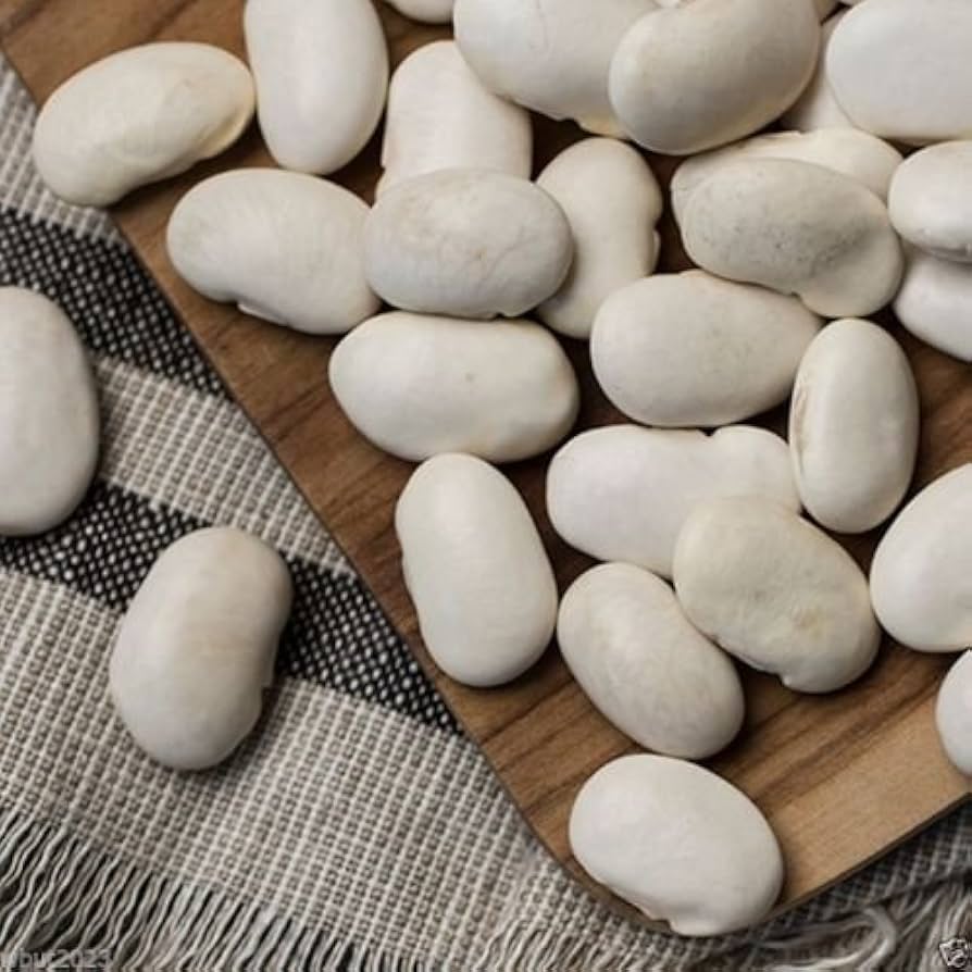 White Porcelain Garlic Seeds for Planting – Heirloom & Non-GMO Vegetable Seeds for Bold, Aromatic Bulbs