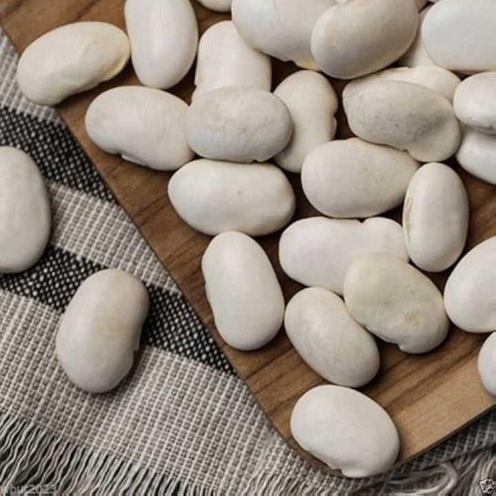 White Porcelain Garlic Seeds for Planting – Heirloom & Non-GMO Vegetable Seeds for Bold, Aromatic Bulbs