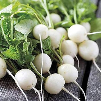 Fruit Seeds,Garden seeds, Seeds For Planting,Plant Seeds