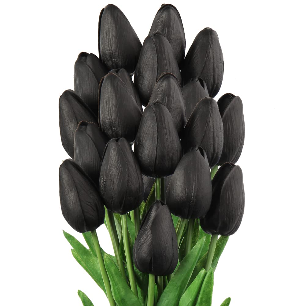 Black Tulip Flower seeds for Planting – Premium Quality Heirloom Non-GMO Seeds for Home Garden