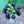 Herb Seeds,Garden seeds, Seeds For Planting,Plant Seeds