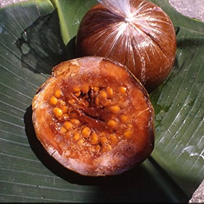 Fruit Seeds,Garden seeds, Seeds For Planting,Plant Seeds