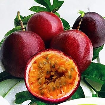 Fruit Seeds,Garden seeds, Seeds For Planting,Plant Seeds
