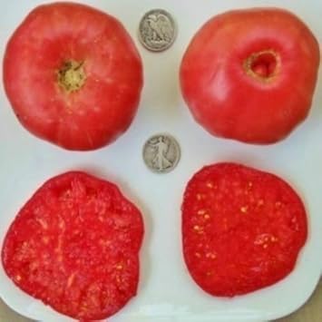 Vegetable Seeds,Garden seeds, Seeds For Planting,Plant Seeds