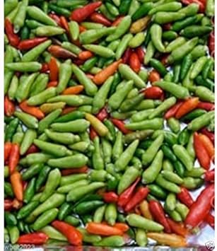 Vegetable Seeds,Garden seeds, Seeds For Planting,Plant Seeds