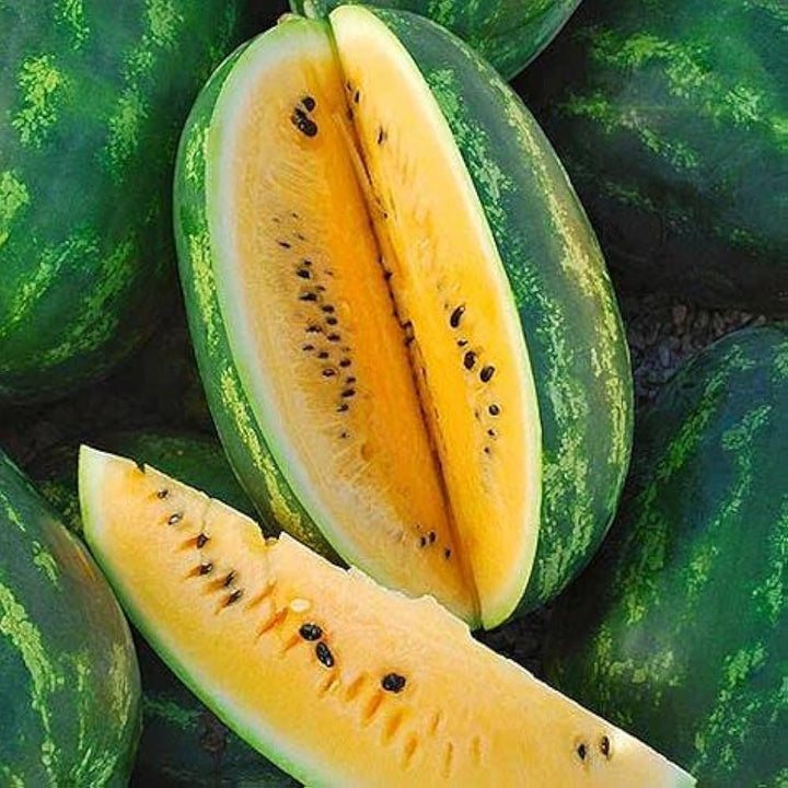 Yellow Melon Seeds for Planting – Heirloom & Non-GMO Fruit Seeds for Sweet Summer Garden Harvests