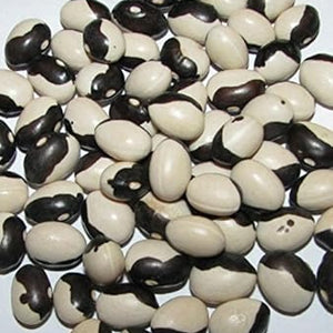 Vegetable Seeds,Garden seeds, Seeds For Planting,Plant Seeds