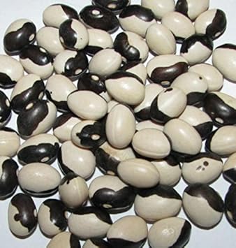 Vegetable Seeds,Garden seeds, Seeds For Planting,Plant Seeds