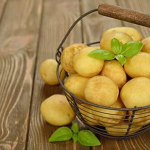 Vegetable Seeds,Garden seeds, Seeds For Planting,Plant Seeds
