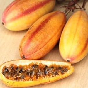 Fruit Seeds,Garden seeds, Seeds For Planting,Plant Seeds