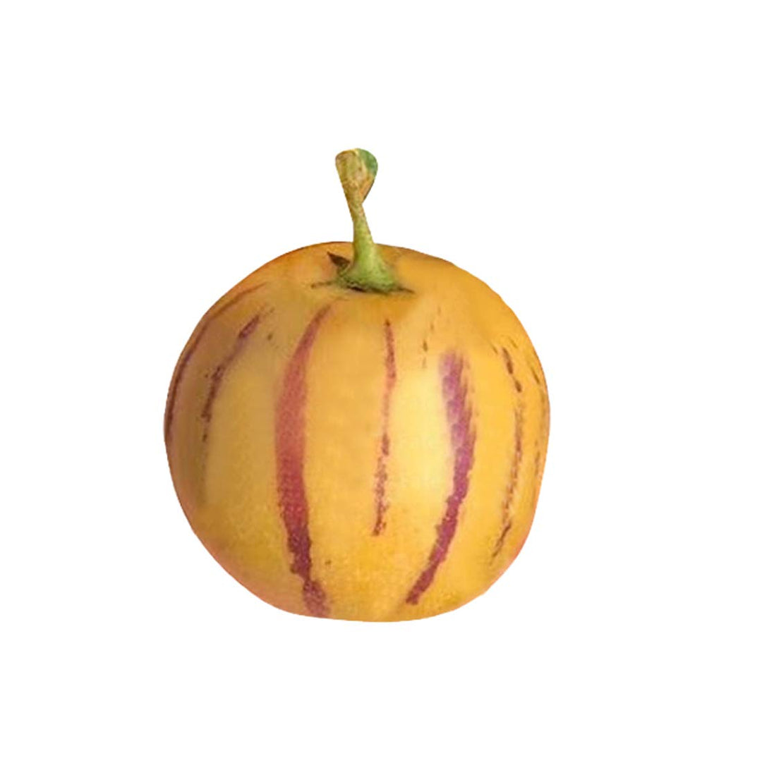 Fruit Seeds,Garden seeds, Seeds For Planting,Plant Seeds