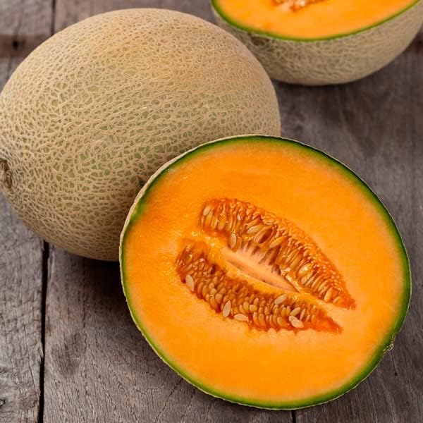 Orange Cantaloupe Melon Fruit Seeds – Heirloom, Non-GMO Seeds for Unique Melon Flavor Planting