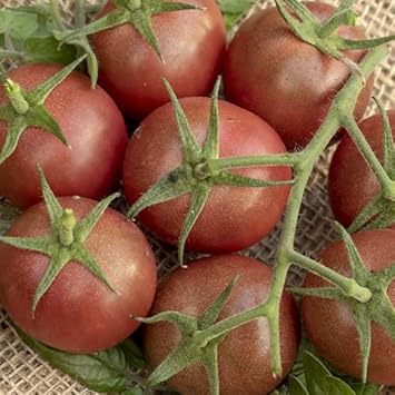 Vegetable Seeds,Garden seeds, Seeds For Planting,Plant Seeds