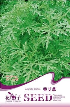 Flower Seeds, Seeds,Seeds For Planting,Plant Seeds