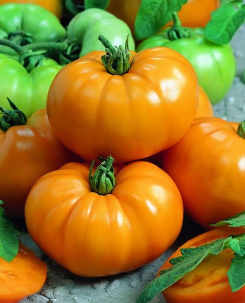 Orange Tomato Vegetable Seeds for Planting – Heirloom &amp; Non-GMO Seeds, Sweet and Colorful Garden Tomatoes