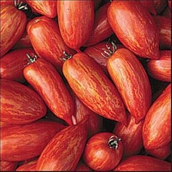 Vegetable Seeds,Garden seeds, Seeds For Planting,Plant Seeds