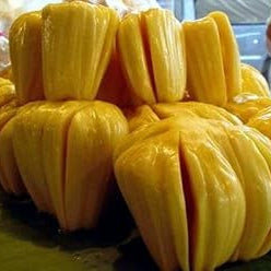 Fruit Seeds,Garden seeds, Seeds For Planting,Plant Seeds