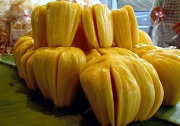 Fruit Seeds,Garden seeds, Seeds For Planting,Plant Seeds