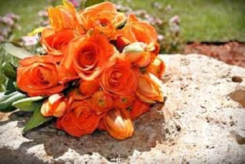 Flower Seeds, Seeds,Seeds For Planting,Plant Seeds