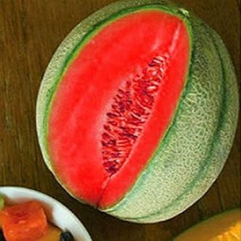 Fruit Seeds,Garden seeds, Seeds For Planting,Plant Seeds