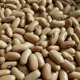 Vegetable Seeds,Garden seeds, Seeds For Planting,Plant Seeds