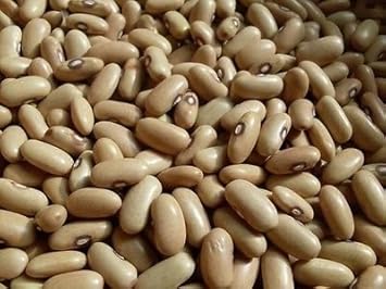 Vegetable Seeds,Garden seeds, Seeds For Planting,Plant Seeds