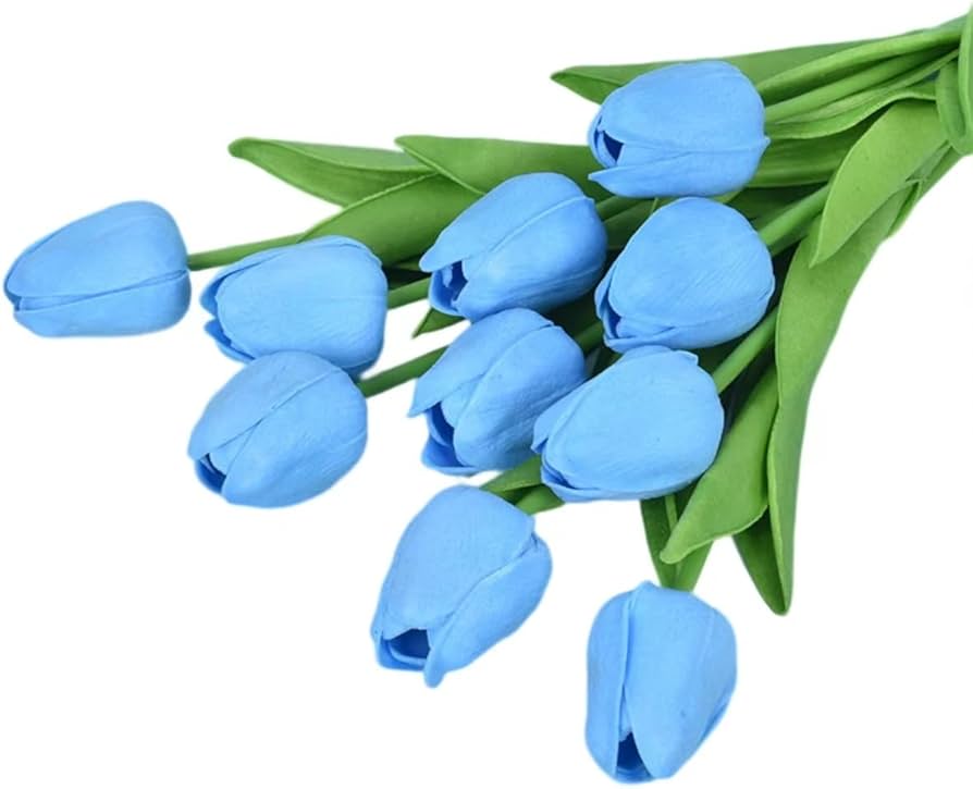 Flower Seeds, Seeds,Seeds For Planting,Plant Seeds