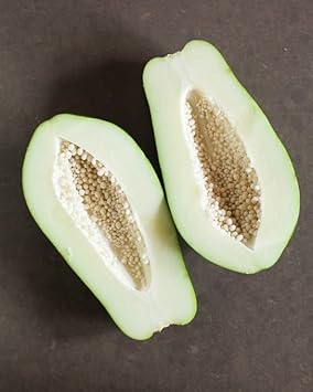 Fruit Seeds,Garden seeds, Seeds For Planting,Plant Seeds