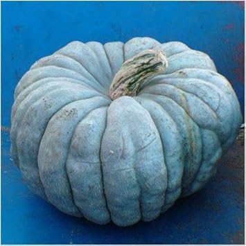 Vegetable Seeds,Garden seeds, Seeds For Planting,Plant Seeds
