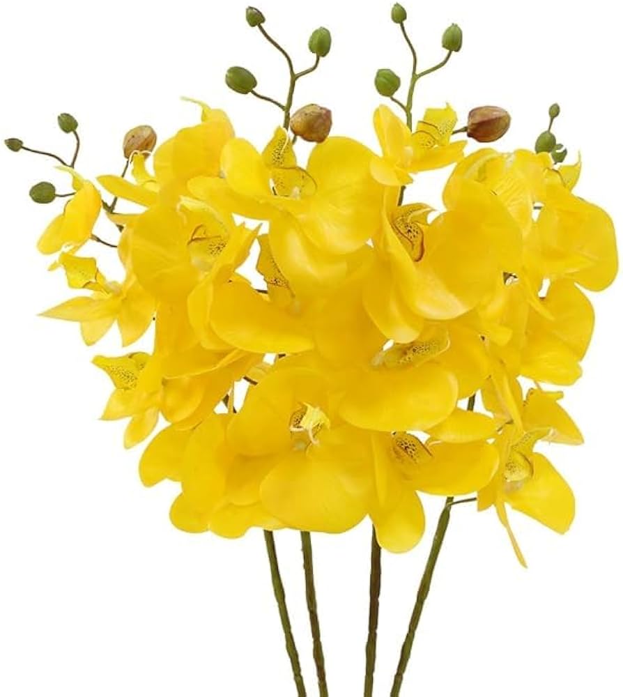 Butterfly Orchid Flower Seeds for Planting – Heirloom, Non-GMO, High Germination Organic Garden Seeds