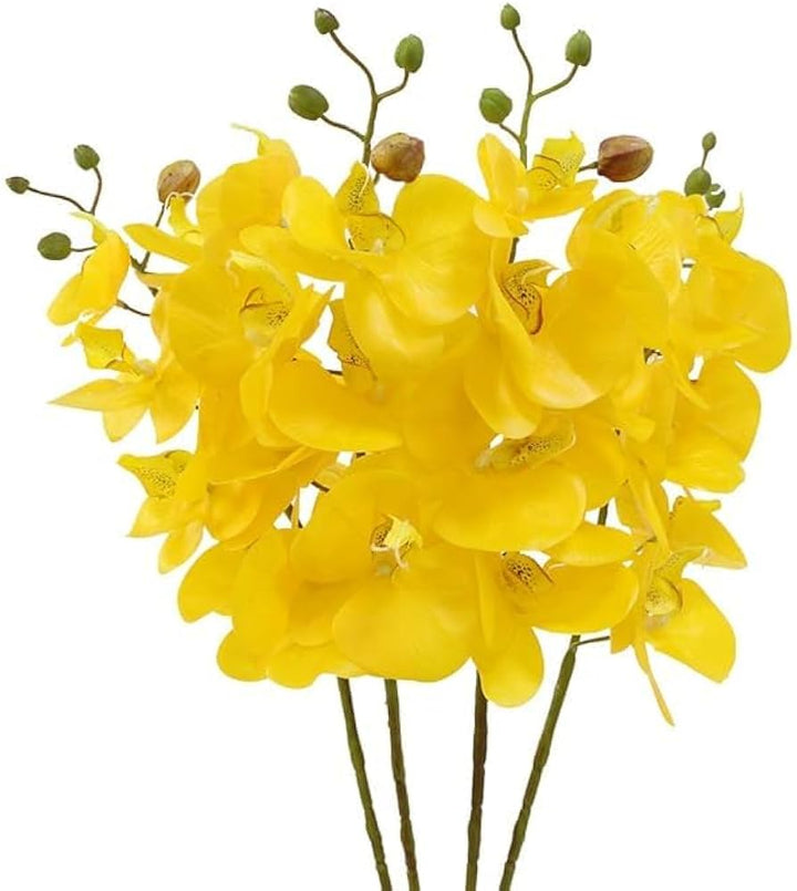 Butterfly Orchid Flower Seeds for Planting – Heirloom, Non-GMO, High Germination Organic Garden Seeds