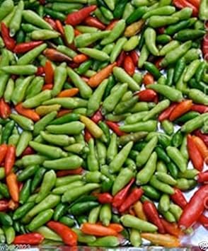Vegetable Seeds,Garden seeds, Seeds For Planting,Plant Seeds