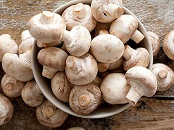 Vegetable Seeds,Garden seeds, Seeds For Planting,Plant Seeds