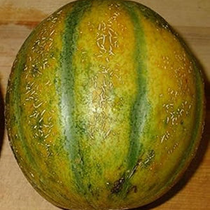 Fruit Seeds,Garden seeds, Seeds For Planting,Plant Seeds