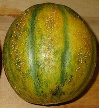 Fruit Seeds,Garden seeds, Seeds For Planting,Plant Seeds