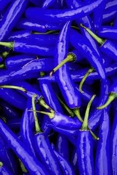 Vegetable Seeds,Garden seeds, Seeds For Planting,Plant Seeds