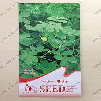 Flower Seeds, Seeds,Seeds For Planting,Plant Seeds