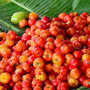 Fruit Seeds,Garden seeds, Seeds For Planting,Plant Seeds