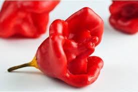 Vegetable Seeds,Garden seeds, Seeds For Planting,Plant Seeds