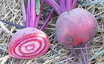 Vegetable Seeds,Garden seeds, Seeds For Planting,Plant Seeds