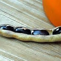 Vegetable Seeds,Garden seeds, Seeds For Planting,Plant Seeds
