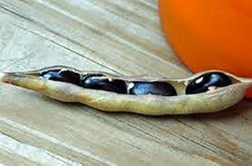 Vegetable Seeds,Garden seeds, Seeds For Planting,Plant Seeds